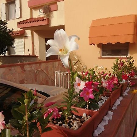 Domomea Hotel Quartu Sant'Elena Exterior photo